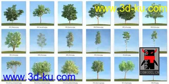 80套低面树木植物3D模型合辑的图片