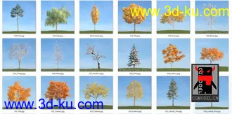 80套低面树木植物3D模型合辑的图片
