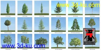 80套低面树木植物3D模型合辑的图片
