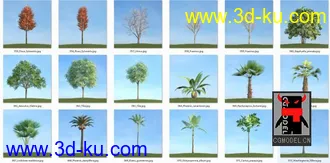 80套低面树木植物3D模型合辑的图片