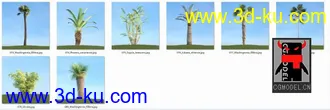 80套低面树木植物3D模型合辑的图片