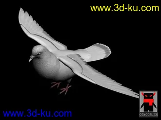 3D打印模型鸽子的图片