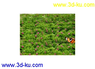 3D打印模型蝴蝶的图片