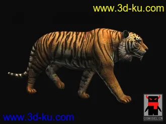 3D打印模型精细的孟加拉虎（带骨骼+动作+贴图）的图片