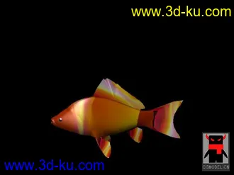 3D打印模型鱼的图片