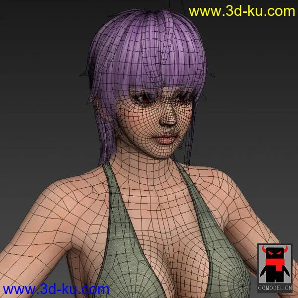 Dead or alive 5 Ayane 生死格鬥5 綾模型的图片1