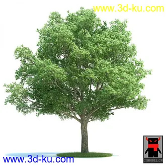 3D打印模型树木的图片
