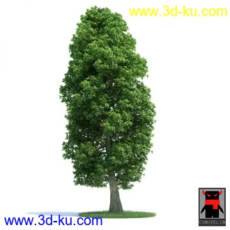 3D打印模型树木的图片