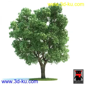 3D打印模型树木的图片