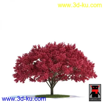 3D打印模型树木的图片