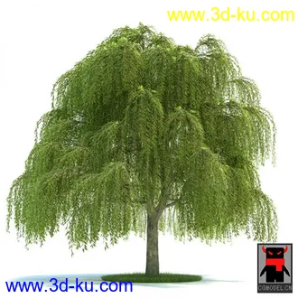 3D打印模型树木的图片
