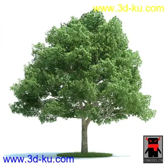 3D打印模型树木的图片