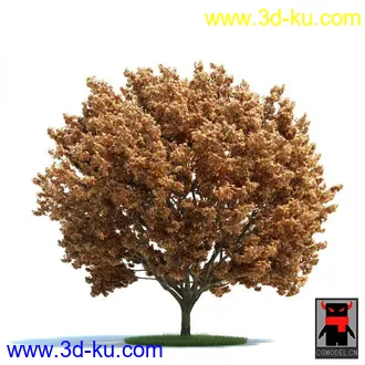 3D打印模型树木的图片