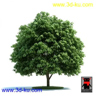 3D打印模型树木的图片
