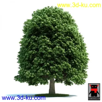 3D打印模型树木的图片