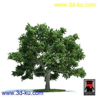 3D打印模型树木的图片
