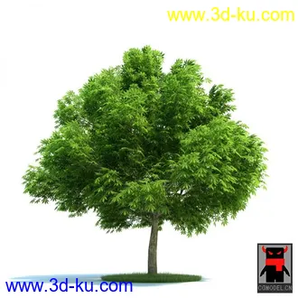 3D打印模型树木的图片