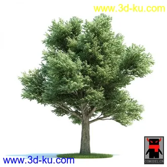 3D打印模型树木的图片