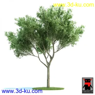 3D打印模型树木的图片