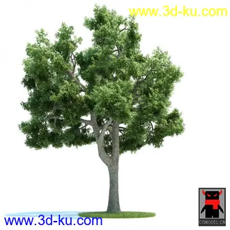 3D打印模型树木的图片