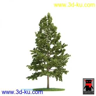 3D打印模型树木的图片