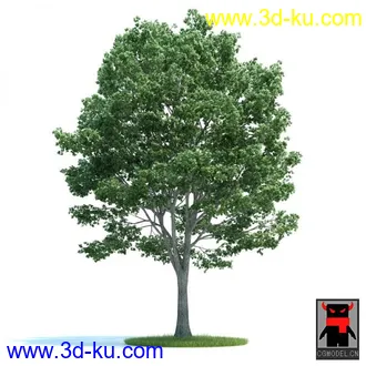 3D打印模型树木的图片
