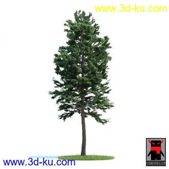 3D打印模型树木的图片