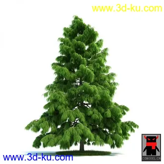 3D打印模型树木的图片