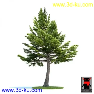 3D打印模型树木的图片