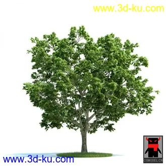 3D打印模型树木的图片