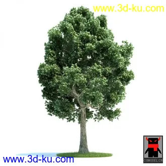 3D打印模型树木的图片