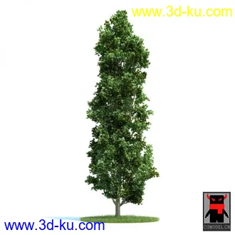 3D打印模型树木的图片