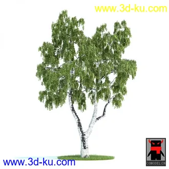 3D打印模型树木的图片