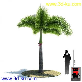 3D打印模型热带植物的图片