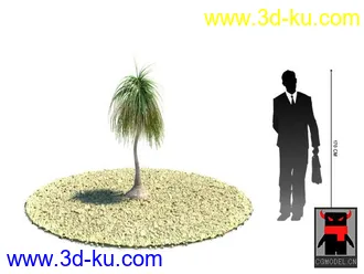 3D打印模型热带植物的图片