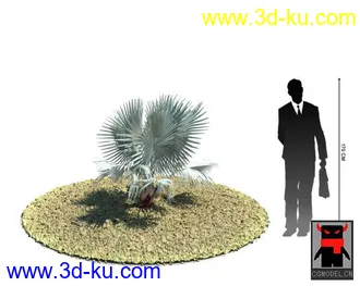 3D打印模型热带植物的图片
