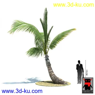 3D打印模型热带植物的图片