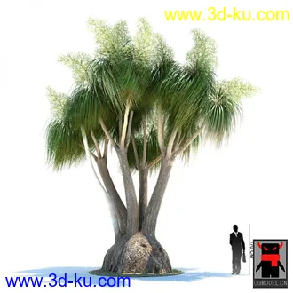 3D打印模型热带植物的图片