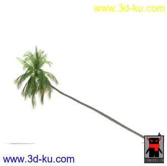 3D打印模型热带植物的图片