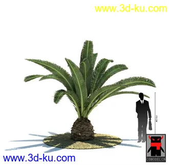 3D打印模型热带植物的图片