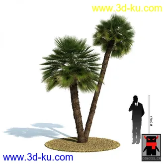 3D打印模型热带植物的图片