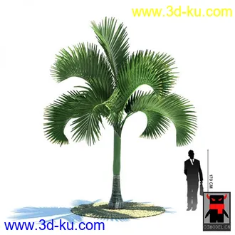 3D打印模型热带植物的图片