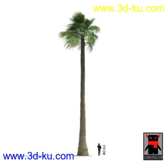 3D打印模型热带植物的图片