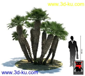 3D打印模型热带植物的图片