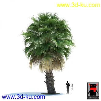 3D打印模型热带植物的图片