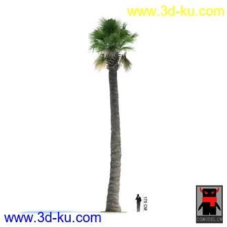 3D打印模型热带植物的图片
