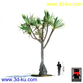 3D打印模型热带植物2的图片