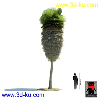 3D打印模型热带植物2的图片