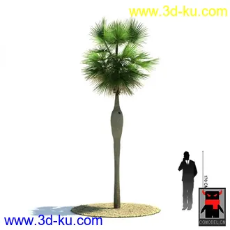 3D打印模型热带植物2的图片