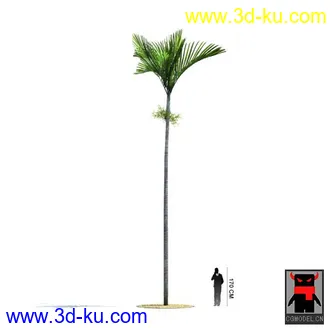 3D打印模型热带植物2的图片